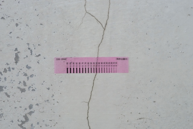 貼るクラックスケール「Ｈｕｒｒｙ（ハリー）」 (640x427)