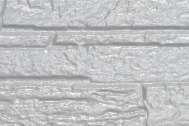 141208skkakenPREMIUM_SILICONE