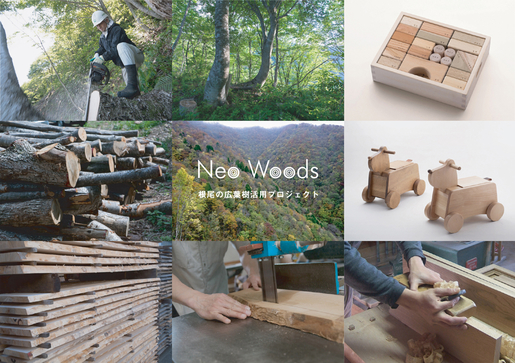 Neo Woods ～根尾の広葉樹活用プロジェクト～