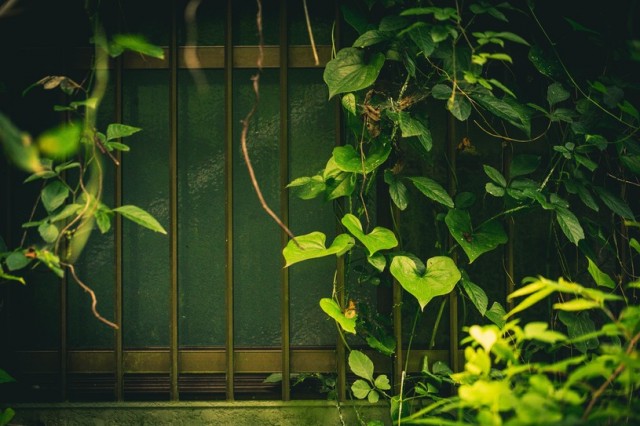 151020zouenimg_77769_1