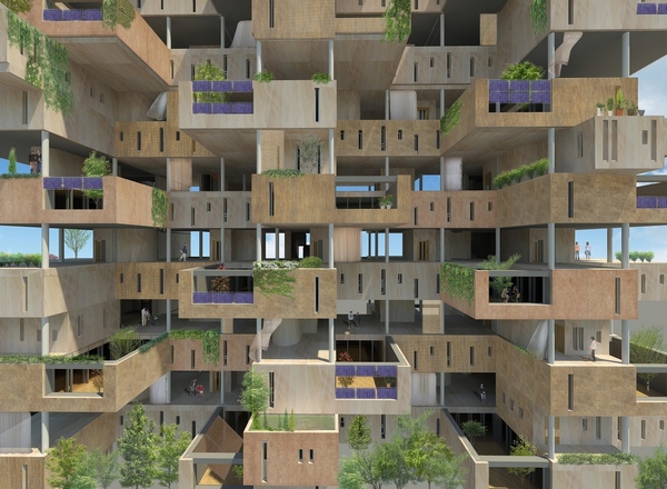 通風構造や木質空間によってゼロ・エネの実現をめざす