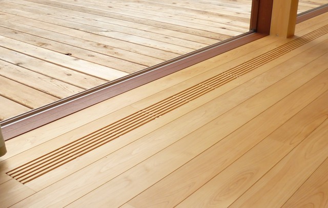 160805imagawa_hinoki