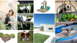 ｉｎｎｏｖａｔｉｏｎ、住宅屋上をドッグランとして活用する新プラン