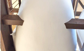 しっくいの良さを五感で体感　さつまホームがモデルハウスに「無添加エッグ」