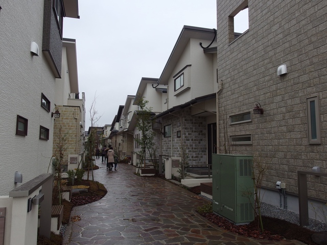 戸建分譲プロジェクト「浦和美園E-フォレスト」の街並み