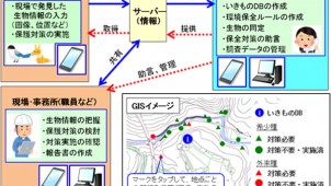 フジタ、建設工事における動植物管理手法「いきもの見聞録」を開発