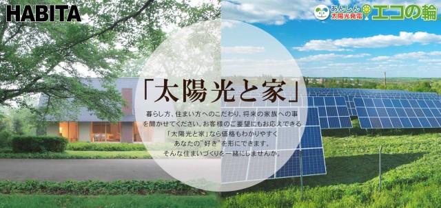 ミサワインターナショナル／エコスタイル