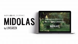 ストロボライト、総額３．５億円の資金調達を実施　ＭＩＤＯＬＡＳ事業を強化