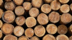 林野庁、非住宅のＪＡＳ構造材利用に補助　事業者は登録制