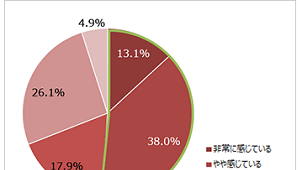 半数以上の人が家庭で「ストレス感じる」　リンナイ調べ