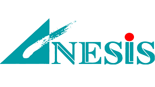 アネシス、５事業会社のホールディングス体制へ