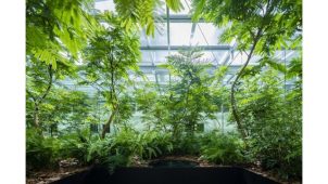 パーカーズ、ＰＢＳ・トヨタが行う“植物と共生する空間”の研究に協力