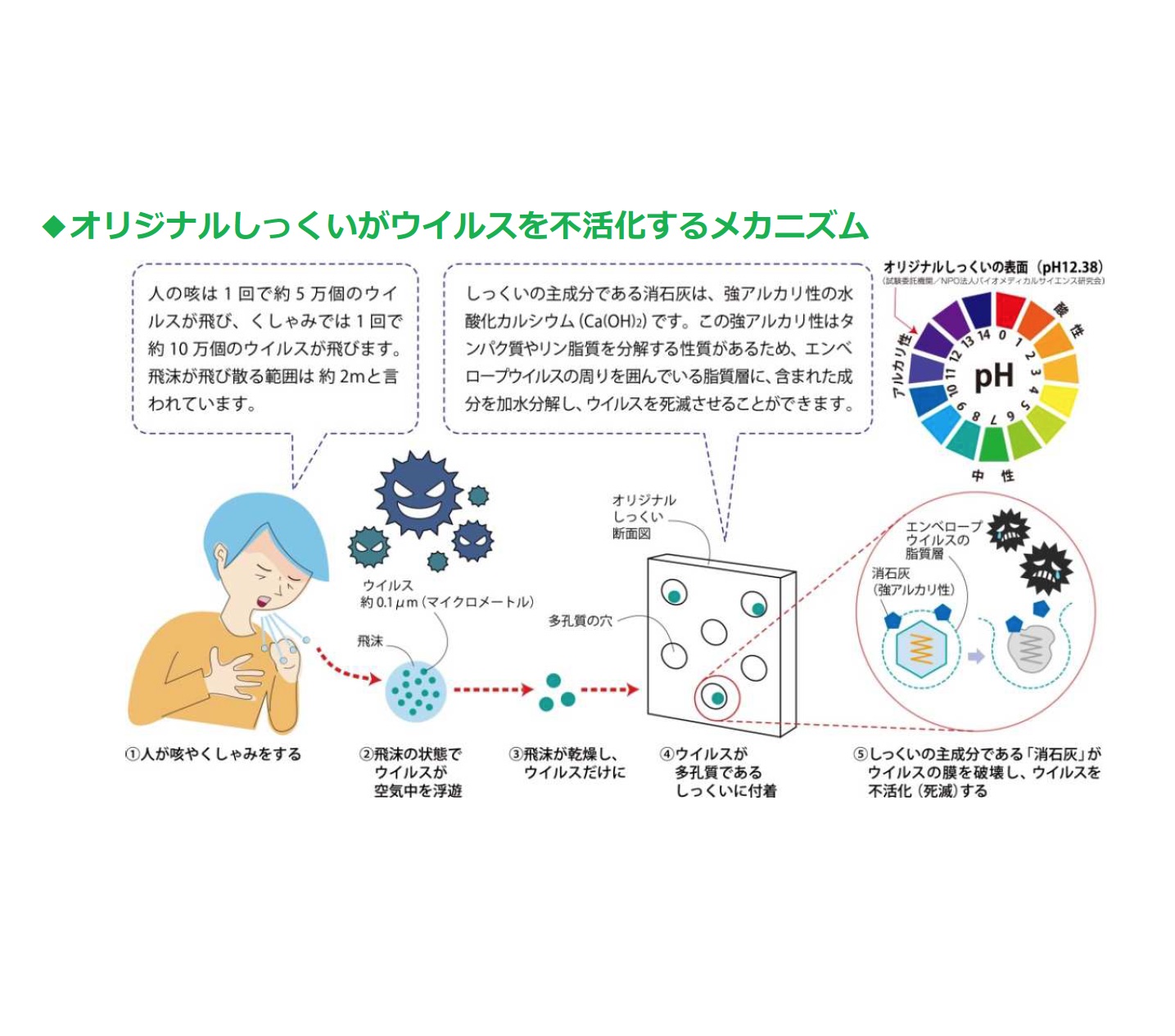 ="無添加住宅、オリジナルしっくいのウイルス不活性化を確認" 無添加住宅、オリジナルしっくいのウイルス不活性化を確認