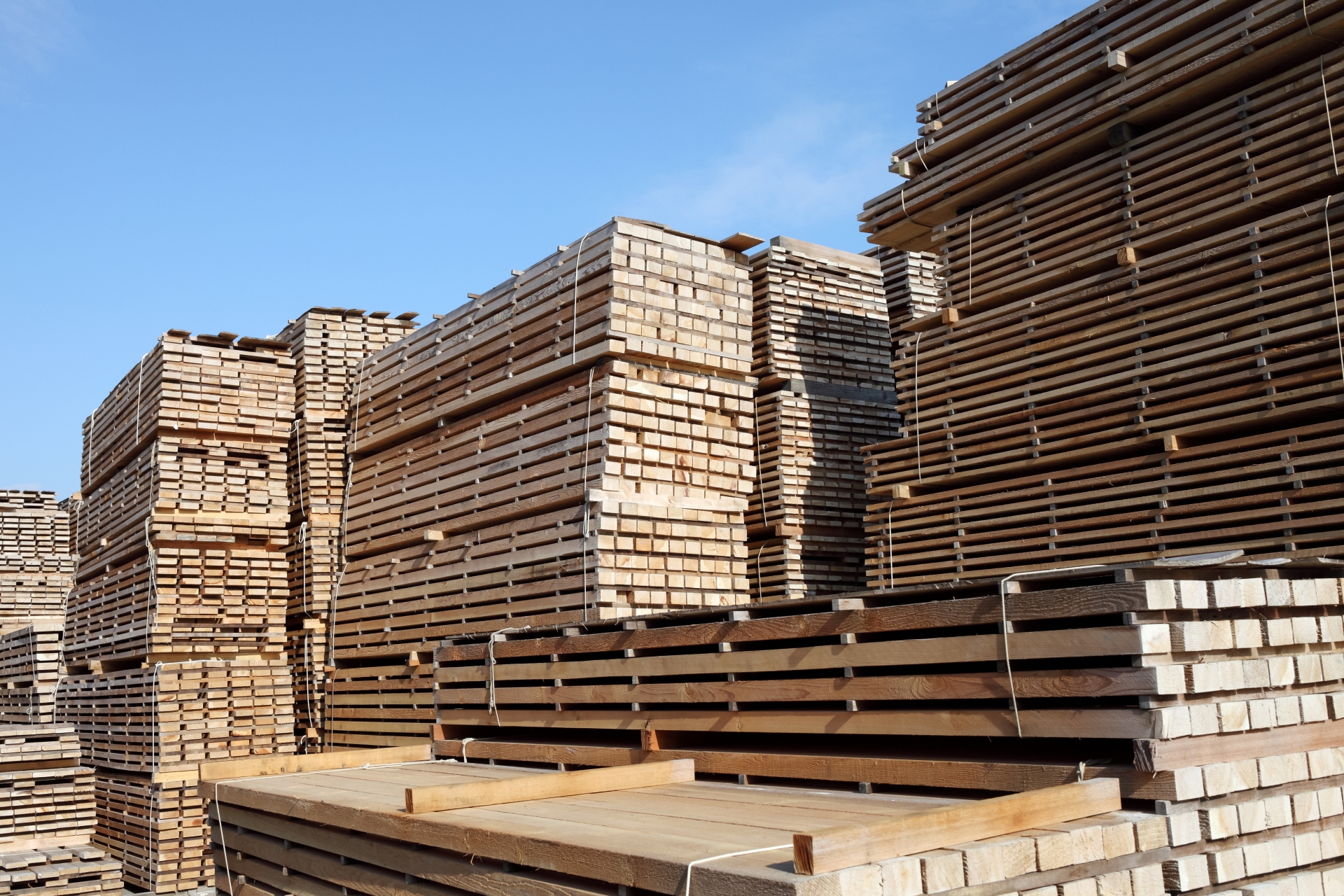米建材価格、木材が9カ月ぶり上昇