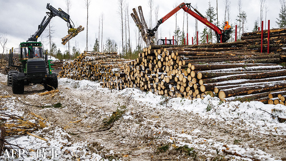 【ウクライナ危機】各国がロシア非難－木材輸入禁止を要請　