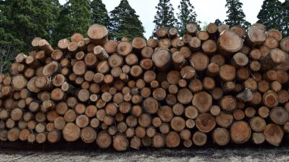 主要建材需要、木材のみ増加予想―合同会議で報告