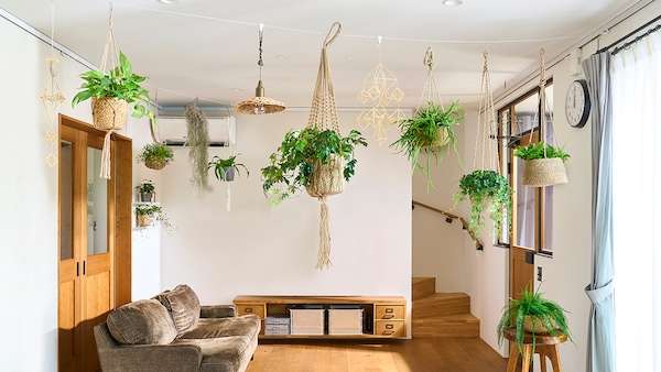 LIXIL、壁・天井に植物やアートが飾れるワイヤーシステム
