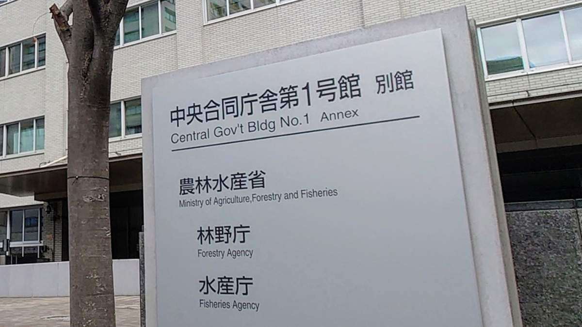 木材利用促進月間、ウッドデザイン賞・木材利用推進コンクールなど全国でイベント