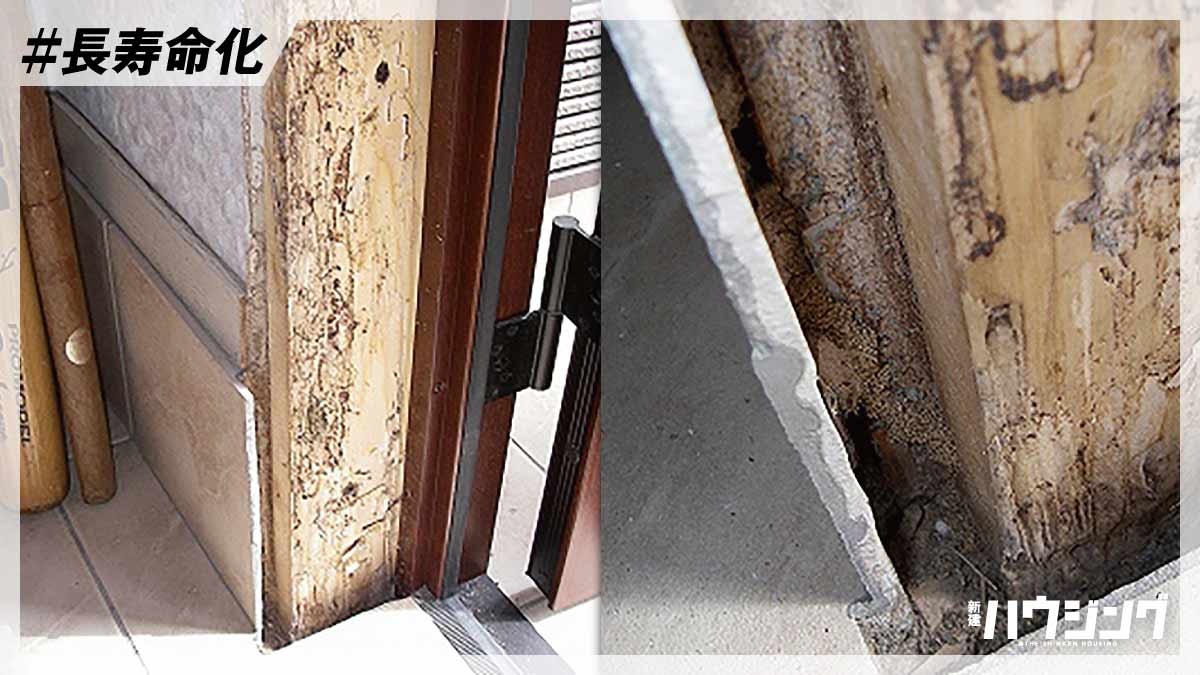 【シロアリ対策】被害を防ぐ建物側の工夫と維持管理の手法