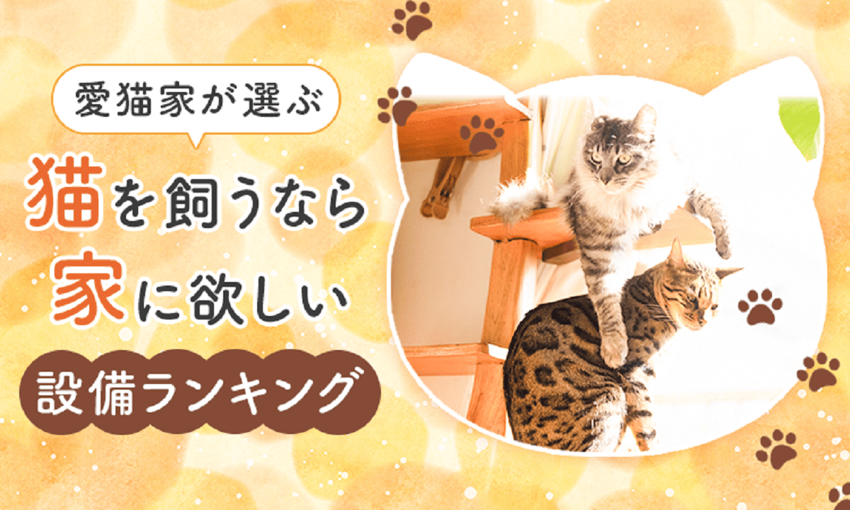 猫を飼うなら家に欲しいのは「キャットタワー」　NEXERらが調査