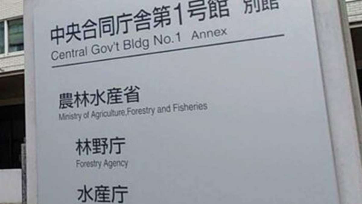 24年木材需要、2.5％増の8187万㎥　製材・合板用材の需要増加