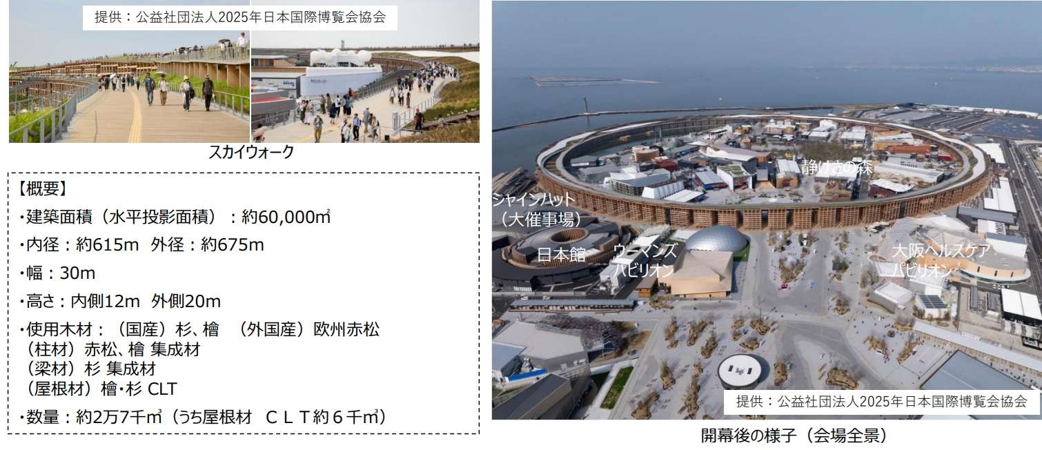 CLTの普及状況と今後の施策について議論　ロードマップ策定へ