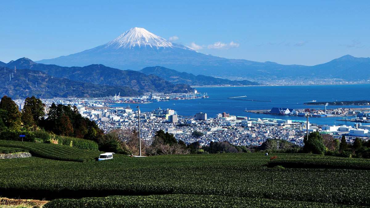 静岡県民500人調査で暮らしの実態が浮上　庭・洗濯などで傾向明らかに