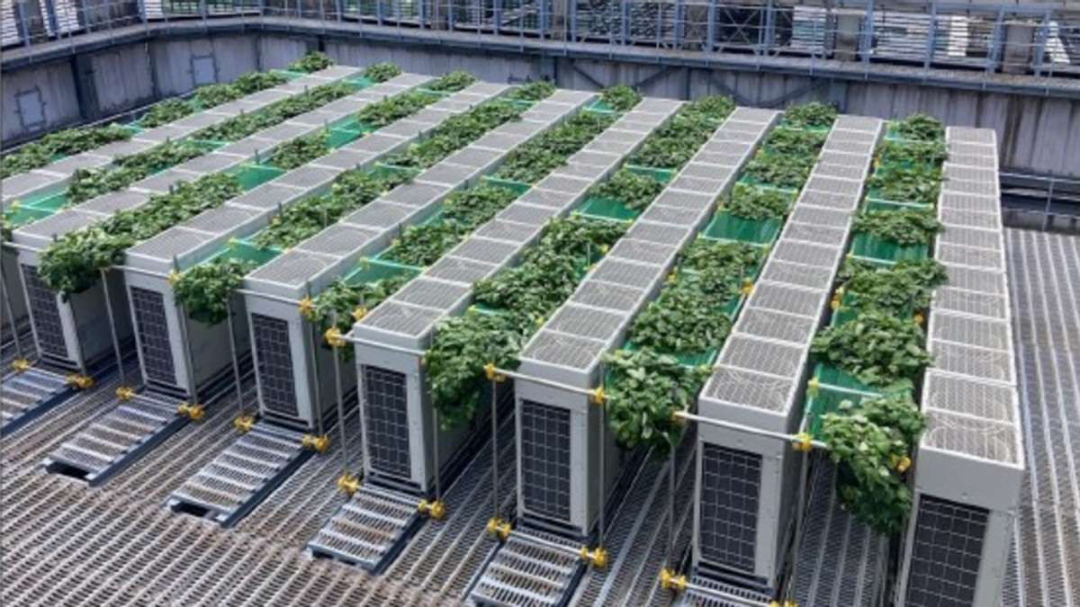 屋外の暑熱対策を検証　屋外エアコン・緑化で涼しさと省エネを実現