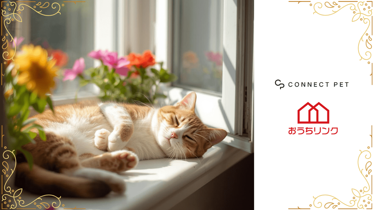 ="おうちリンク、「保護猫譲渡×猫ケア家電サブスク」のインフラサービス" おうちリンク、「保護猫譲渡×猫ケア家電サブスク」のインフラサービス